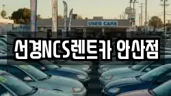 경기도 안산시 단원구 고잔동 렌트카,단기렌트카,장기렌트카,중고차,중고차매매,중고차매입