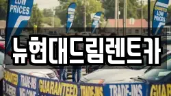 뉴현대드림렌트카