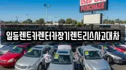 경기도 안산시 단원구 대부동동 렌트카,단기렌트카,장기렌트카,중고차,중고차매매,중고차매입