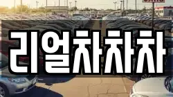 리얼차차차