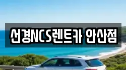 경기도 안산시 단원구 렌트카,단기렌트카,장기렌트카,중고차,중고차매매,중고차매입