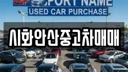 시화안산중고차매매