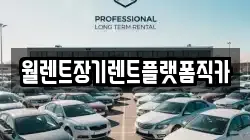 월렌트장기렌트플랫폼직카