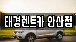 경기도 안산시 단원구 와동 렌트카,단기렌트카,장기렌트카,중고차,중고차매매,중고차매입