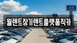 경기도 안산시 단원구 풍도동 렌트카,단기렌트카,장기렌트카,중고차,중고차매매,중고차매입