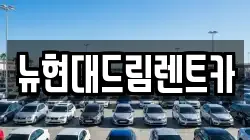뉴현대드림렌트카