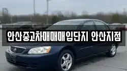 안산중고차매매매입단지 안산지점