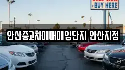 안산중고차매매매입단지 안산지점