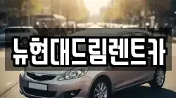 뉴현대드림렌트카