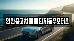 안산중고차매매단지동우모터스