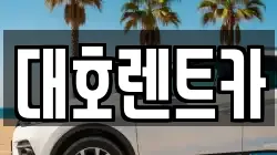 대호렌트카