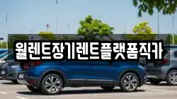경기도 안성시 가사동 렌트카,단기렌트카,장기렌트카,중고차,중고차매매,중고차매입