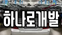 하나로개발