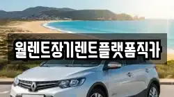 경기도 안성시 대천동 렌트카,단기렌트카,장기렌트카,중고차,중고차매매,중고차매입