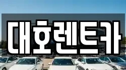 대호렌트카