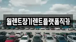 월렌트장기렌트플랫폼직카