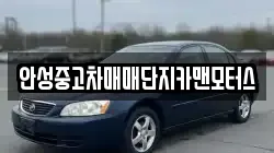 안성중고차매매단지카맨모터스