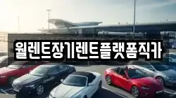 월렌트장기렌트플랫폼직카