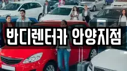경기도 안양시 동안구 비산동 렌트카,단기렌트카,장기렌트카,중고차,중고차매매,중고차매입