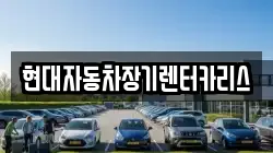 현대자동차장기렌터카리스