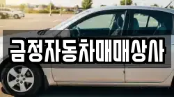 금정자동차매매상사