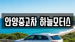 안양중고차 하늘모터스