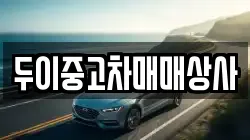 두이중고차매매상사