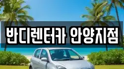 경기도 안양시 렌트카,단기렌트카,장기렌트카,중고차,중고차매매,중고차매입