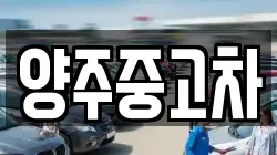 양주중고차