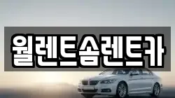 월렌트솜렌트카