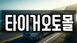 타이거오토몰