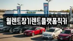 경기도 양주시 남면 렌트카,단기렌트카,장기렌트카,중고차,중고차매매,중고차매입