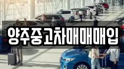 양주중고차매매매입