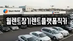 월렌트장기렌트플랫폼직카