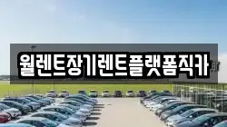 월렌트장기렌트플랫폼직카