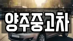 양주중고차