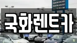 국화렌트카