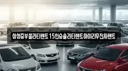 삼성중부쏠라티렌트15인승솔라티렌트하이리무진차렌트
