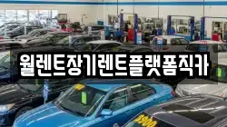 월렌트장기렌트플랫폼직카