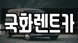 국화렌트카
