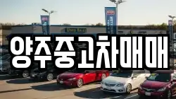 양주중고차매매