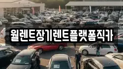 경기도 양주시 은현면 렌트카,단기렌트카,장기렌트카,중고차,중고차매매,중고차매입