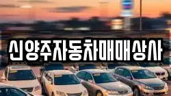 신양주자동차매매상사