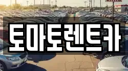 토마토렌트카
