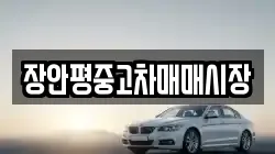 장안평중고차매매시장
