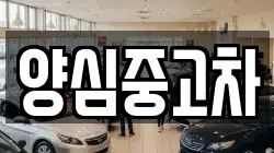 양심중고차