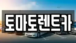 토마토렌트카