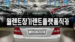 경기도 여주시 대신면 렌트카,단기렌트카,장기렌트카,중고차,중고차매매,중고차매입