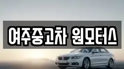 여주중고차 원모터스