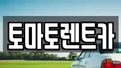 토마토렌트카